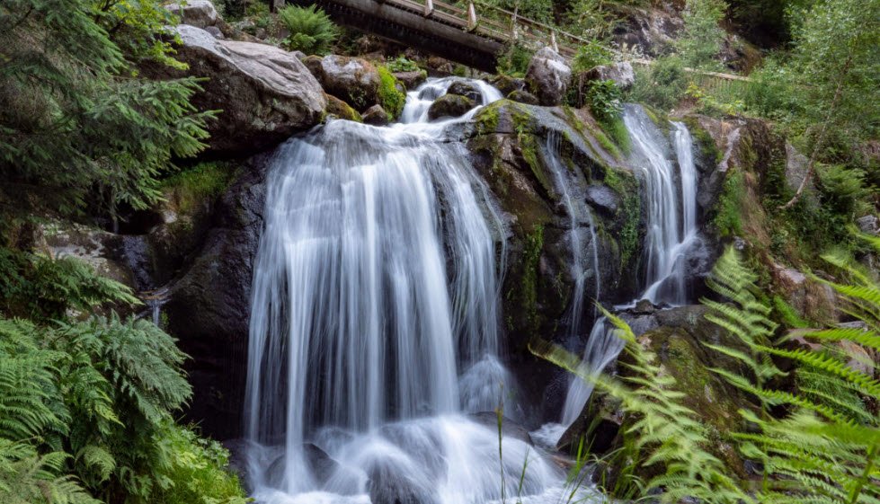 Black Forest (Schwarzwald), Germany